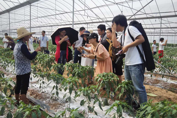 ���W(w��ng)�j(lu��)ý�w���D(zhu��n)�ġ����_���L �ùP߀ԭ �W(w��ng)ý���ġ��������