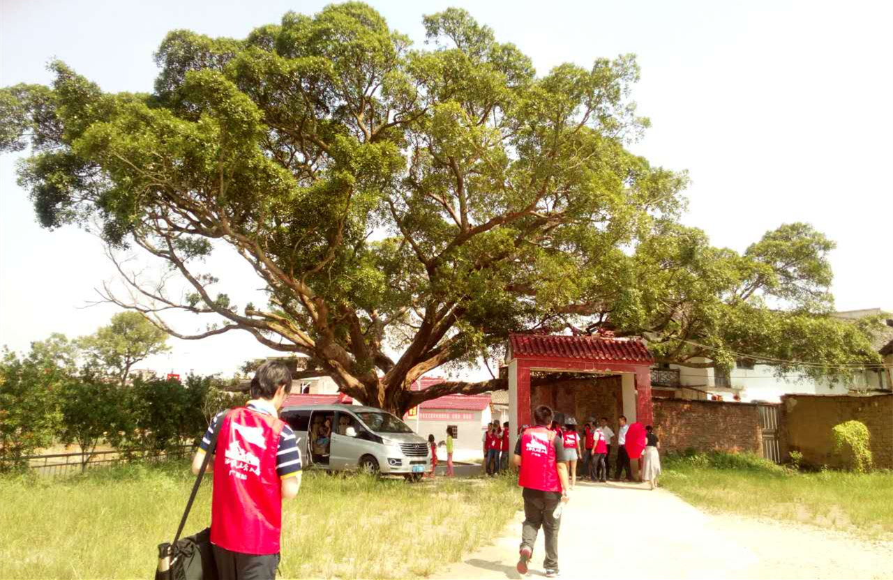 【網(wǎng)絡媒體走轉改】老榕樹守護下的世外桃源——烏逕鎮(zhèn)田心村 【網(wǎng)絡媒體走轉改】老榕樹守護下的世外桃源——烏逕鎮(zhèn)田心村