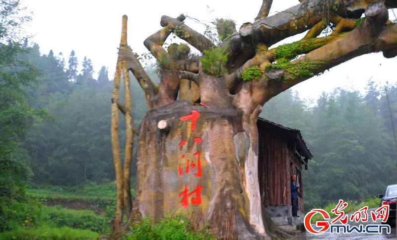 ���W(w��ng)�j(lu��)ý�w���D(zhu��n)�ġ����ʷ�ؚЧ����Óؚ���¡����M�I��