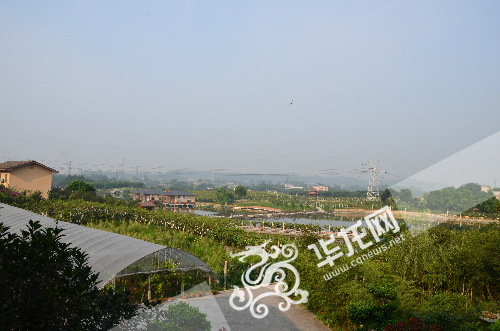 采果人氣變“經(jīng)濟(jì)入口” 采果人氣變“經(jīng)濟(jì)入口”