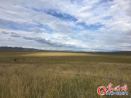 ���W(w��ng)�j(lu��)ý�w���D(zhu��n)�ġ������L(zh��ng)���D�U(xi��n)�� �_(k��i)���صء��Ҹ�����