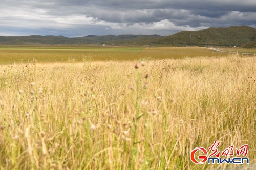 ���W(w��ng)�j(lu��)ý�w���D(zhu��n)�ġ������L(zh��ng)���D�U(xi��n)�� �_(k��i)���صء��Ҹ�����