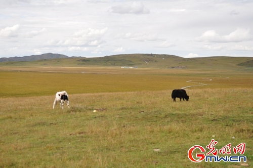 ���W(w��ng)�j(lu��)ý�w���D(zhu��n)�ġ������L(zh��ng)���D�U(xi��n)�� �_(k��i)���صء��Ҹ�����