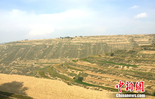 ��·���Ե�������¾W(w��ng) �N�� �z