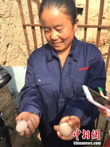 �߿�ϼչʾ�u�������¾W(w��ng) �N�� �z