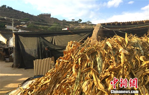 ����Ƽ�ҵ�Ժ��һ�������¾W(w��ng) �N�� �z