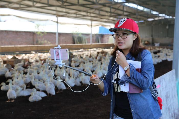 ���W(w��ng)�j(lu��)ý�w�����D(zhu��n)�ġ��������L��· �W(w��ng)ýӛ�ߵġ��L��������