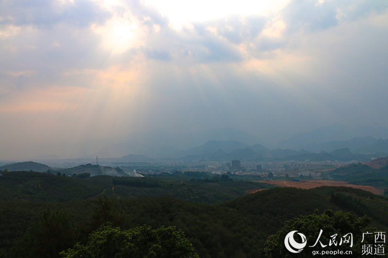 大仁村農(nóng)業(yè)示范區(qū)鳥瞰灌陽縣城