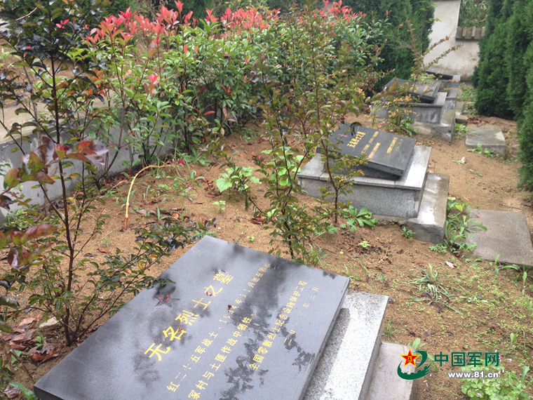 ���W(w��ng)�j(lu��)ý�w���D(zhu��n)�ġ��������ˣ�׌�t25܊��ʿ���ؼҡ���