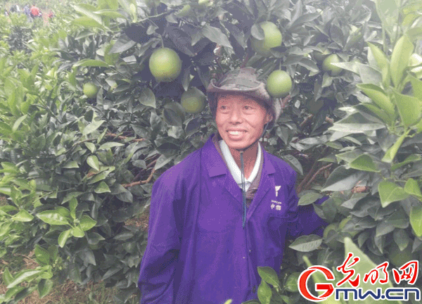 ���W(w��ng)�jý�w���D(zhu��n)�ġ��ؑc��ꖣ��tɫ�����ϵľGɫ�l(f��)չ