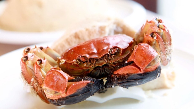 �ɱ����ꖳκ����lз