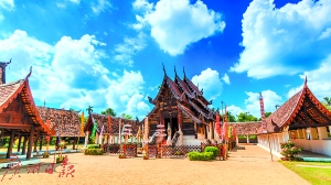 �����~���µ�����