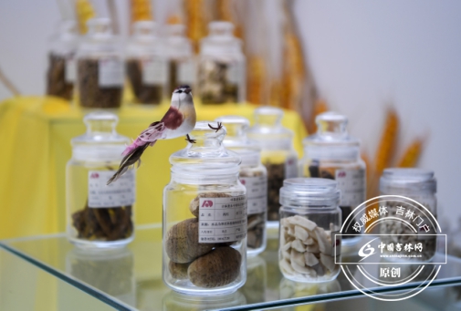 �t(y��)ˎ�a(ch��n)�I(y��)���L(f��ng)�w�P(y��ng)