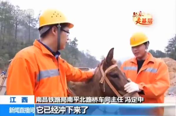 ǰ�����ע�Ⱑ��������@����������@������Ҫײ������