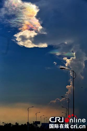 19�հ����������Ĳ��l(f��)����Ͽ�ͻ�@���������������v���Ĕz���Ĳ������ϡ� �zӰ ��x