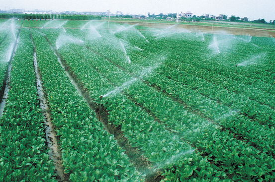 【砥礪奮進(jìn)的五年】四川德陽市旌陽區(qū)脫貧攻堅(jiān) 小康路上“一個都不能少” 【砥礪奮進(jìn)的五年】四川德陽市旌陽區(qū)脫貧攻堅(jiān) 小康路上“一個都不能少”