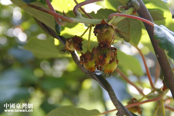 ���ƵZ�^�M(j��n)�����ꡤ�۽���(sh��)��(j��)���F�����ģ��ǻ۴�(sh��)��(j��)�����a(ch��n)�I(y��)����(zh��n)��