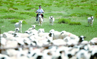 �D(zhu��n)�Ͱl(f��)չ����o���L(f��ng)�ⱼ�v��ȥ