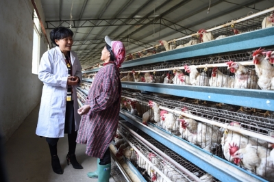 ��M(m��n)����Ռ�(du��)����������������^��