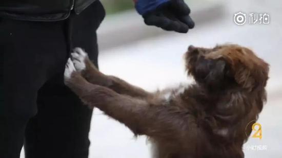 感謝你出現(xiàn)在這里