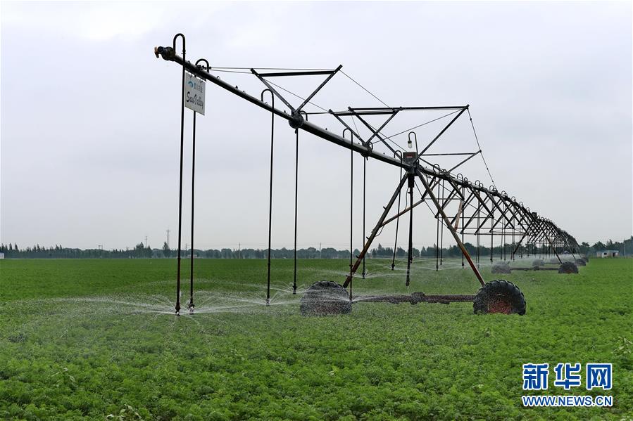 (中國經(jīng)濟(jì)新時代·圖文互動)(1)穩(wěn)中向好開新篇——黨的十八大以來我國“三農(nóng)”發(fā)展成就綜述