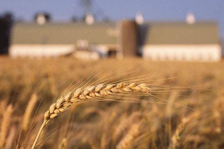 �����ϾW(w��ng)�����x��ʮ�Ŵ󡿌��F(xi��n)С�r(n��ng)���ͬF(xi��n)���r(n��ng)�I(y��)�l(f��)չ�ЙC㕽�