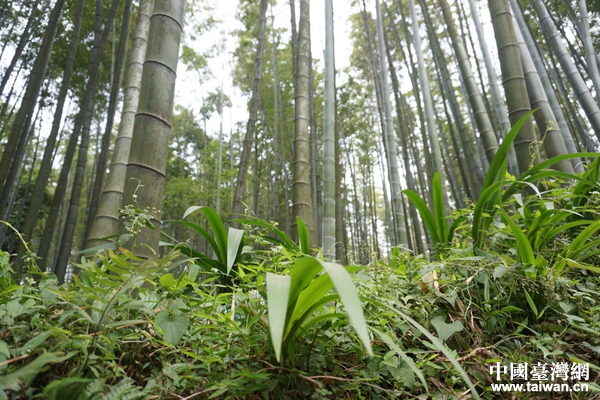 ��������