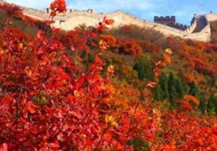 �����F�� ����w�� ���c��(ji��)�͵������ӑc-�L���F��