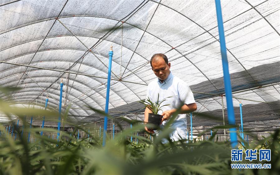 ������(x��)��ƽ�r(sh��)���Ї�(gu��)��ɫ���(hu��)���x˼��ָ���¡����r(sh��)����������ƪ�¡�����ӛ�P(gu��n)�ĵİ�����߅�¡��D�Ļ���(d��ng)����4�����Ƽ���š��o��Ұ����(l��i)��ϣ��