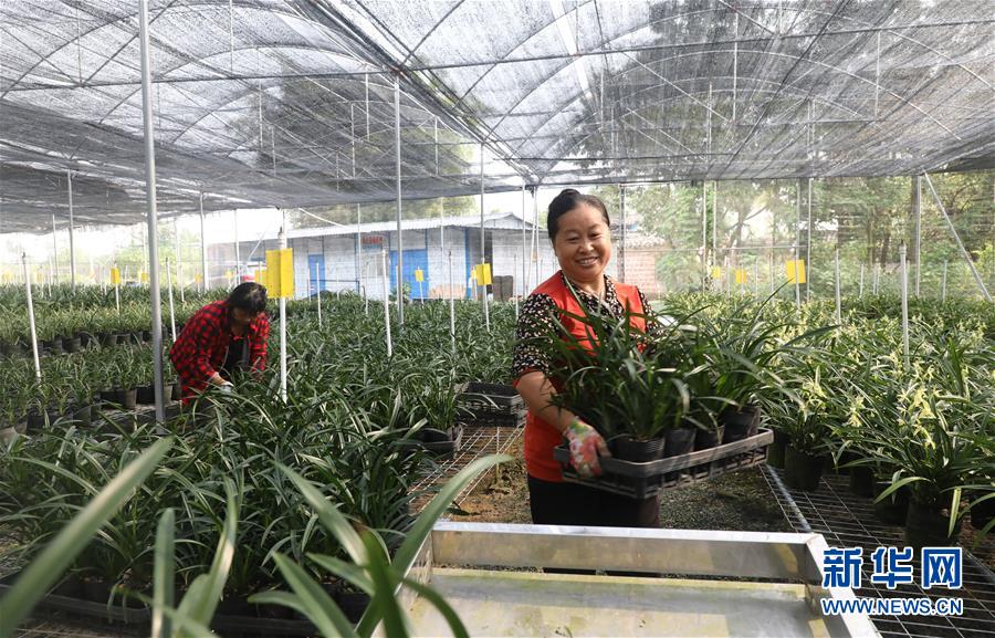 ������(x��)��ƽ�r(sh��)���Ї�(gu��)��ɫ���(hu��)���x˼��ָ���¡����r(sh��)����������ƪ�¡�����ӛ�P(gu��n)�ĵİ�����߅�¡��D�Ļ���(d��ng)����2�����Ƽ���š��o��Ұ����(l��i)��ϣ��