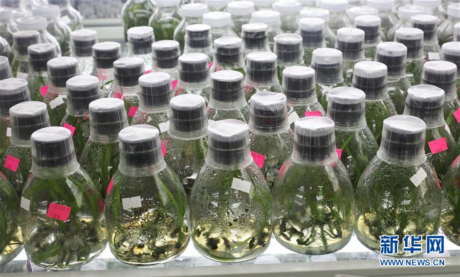 ������(x��)��ƽ�r(sh��)���Ї�(gu��)��ɫ���(hu��)���x˼��ָ���¡����r(sh��)����������ƪ�¡�����ӛ�P(gu��n)�ĵİ�����߅�¡��D�Ļ���(d��ng)����3�����Ƽ���š��o��Ұ����(l��i)��ϣ��