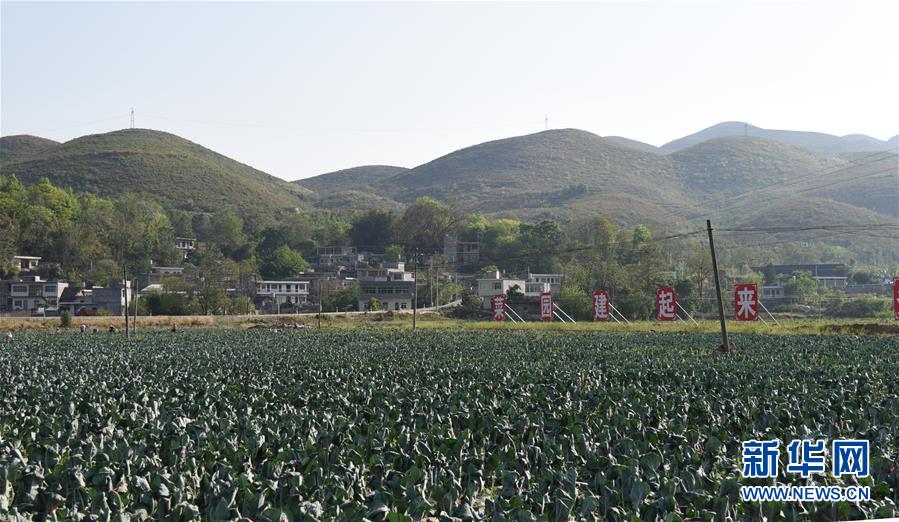 ���Q��(zh��n)�Q��Óؚ���ԡ��D�Ļ��ӣ���2���������Ų��a�RÓؚ���ԡ��̰塱�����F����¡�h��ؚһ������Ҋ