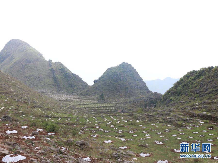 ���Q��(zh��n)�Q��Óؚ���ԡ��D�Ļ��ӣ���4���������Ų��a�RÓؚ���ԡ��̰塱�����F����¡�h��ؚһ������Ҋ