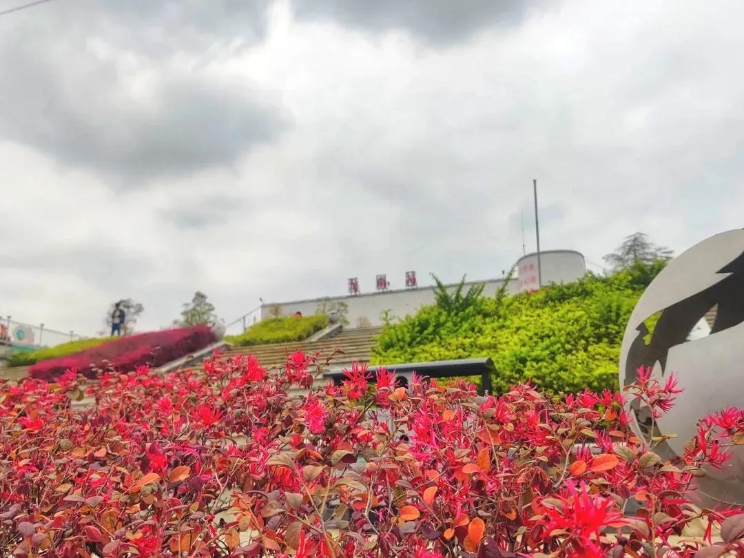 ̽���F·������(j��)���̡������l(f��)�F(xi��n)�����F·�����ճ��l(f��)��