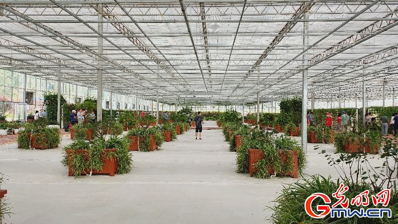 ���l(f��)�F(xi��n)�����F·�������ؾ��a(ch��n)�I(y��)�l(f��)չ ���M���F��Óؚ����(ji��n)ע���»���