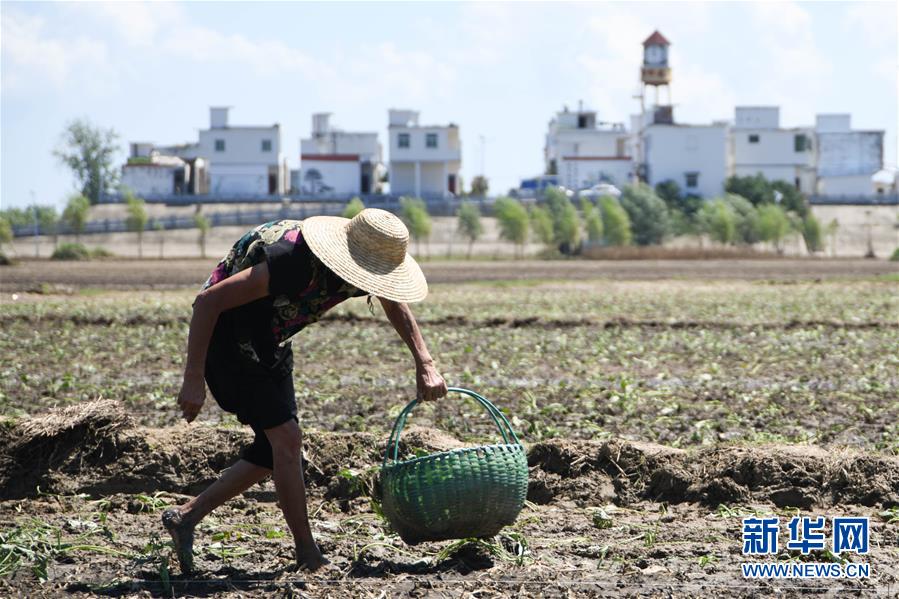 ��������ƽ�r���Ї���ɫ������x˼��ָ���¡����r����������ƪ�¡�����ƽ����ӛ�P(gu��n)���¡��D�Ļ��ӣ���1��һ�О������񡪡�����ȫ����Ѵ�Ȟ�ȡ���A�����ش����֮�r