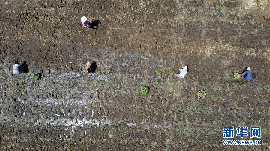 ��������ƽ�r���Ї���ɫ������x˼��ָ���¡����r����������ƪ�¡�����ƽ����ӛ�P(gu��n)���¡��D�Ļ��ӣ���8��һ�О������񡪡�����ȫ����Ѵ�Ȟ�ȡ���A�����ش����֮�r