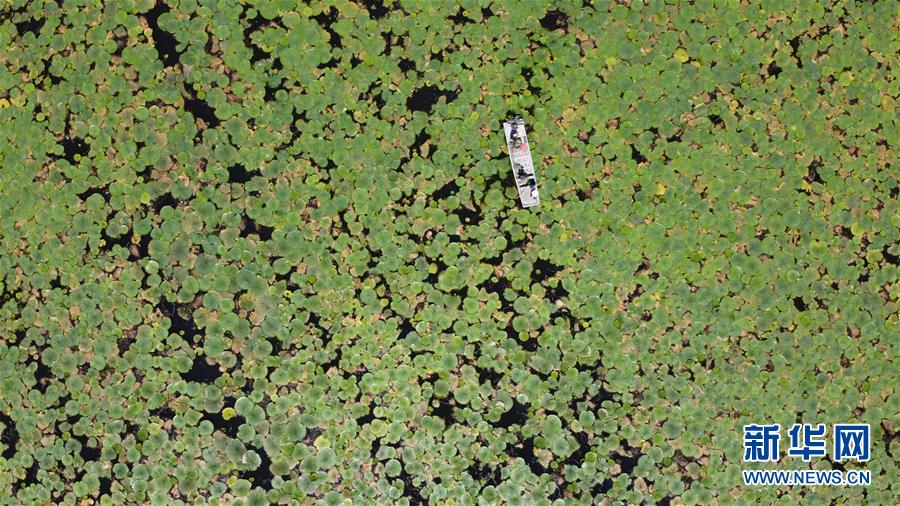 ��������ƽ�r���Ї���ɫ������x˼��ָ���¡����r����������ƪ�¡�����ƽ����ӛ�P(gu��n)���¡��D�Ļ��ӣ���12��һ�О������񡪡�����ȫ����Ѵ�Ȟ�ȡ���A�����ش����֮�r