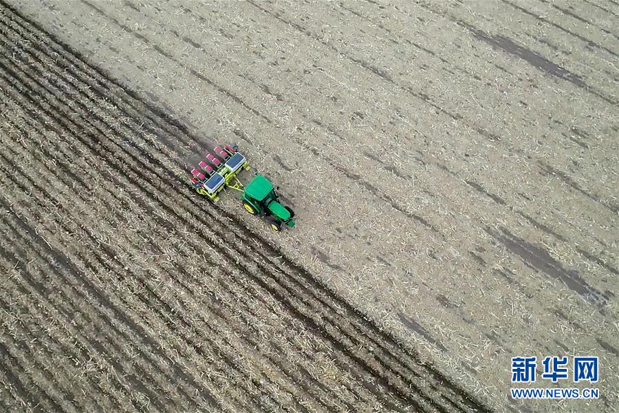 (新華全媒頭條·圖文互動)(11)為現(xiàn)代農(nóng)業(yè)探新路——來自吉林梨樹的田野報告