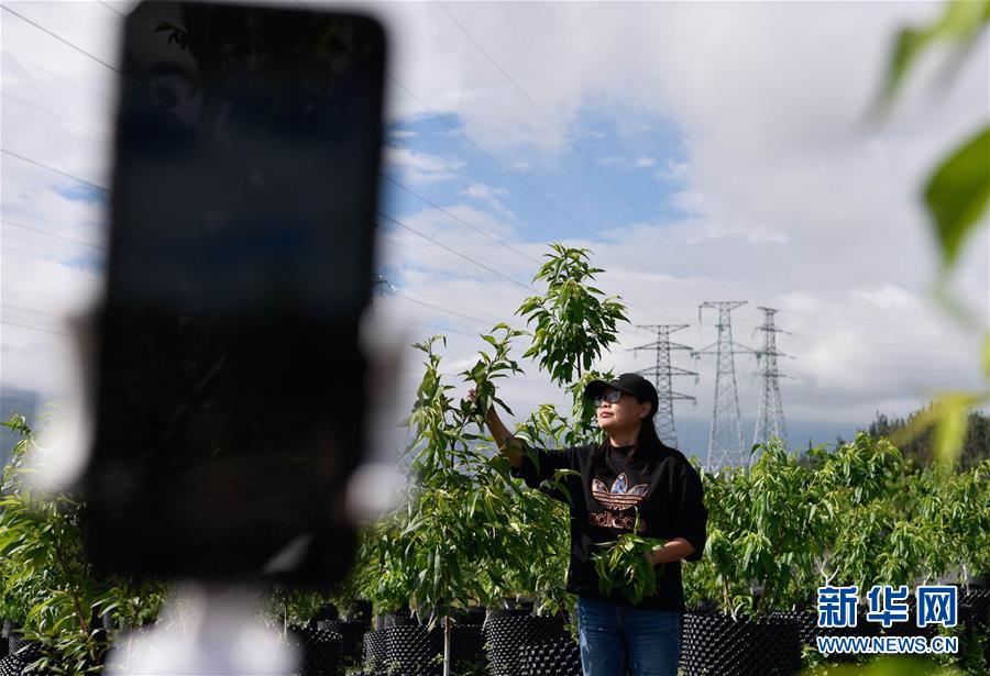 (決戰(zhàn)決勝脫貧攻堅(jiān)·督戰(zhàn)未摘帽貧困縣·圖文互動(dòng))(4)12000多個(gè)“火種”點(diǎn)亮大涼山