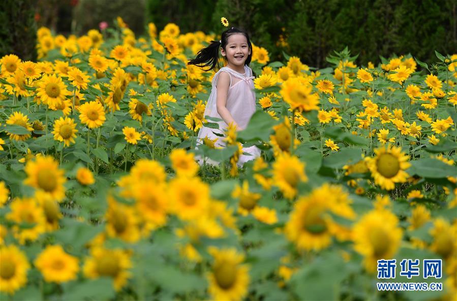 (新華全媒頭條·圖文互動(dòng))(3)“雙節(jié)”喜相逢 一樣家國(guó)情——全國(guó)各地歡度國(guó)慶中秋佳節(jié)掃描