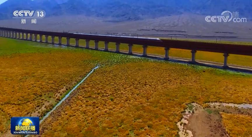 �m�¸��F����ҕ���͑��� �D