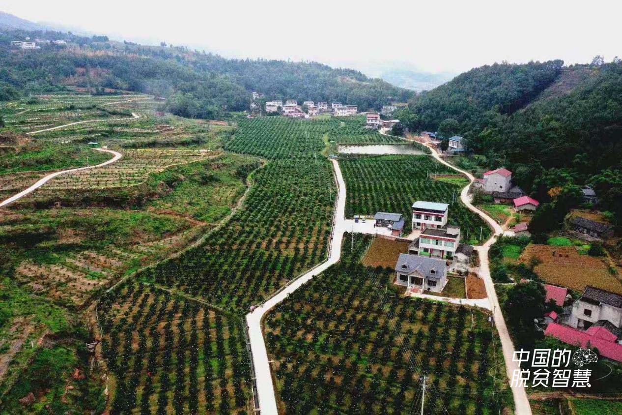  ���Ӵ庽�ģ��Ĵ����W(w��ng)���D��