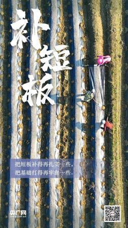  �@�����˲�Ŀ�����E���l(f��)�����Ї���