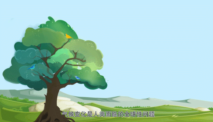 ���� | ��������������ᵽ�ġ�̼�_����̼�к͡���ʲô��