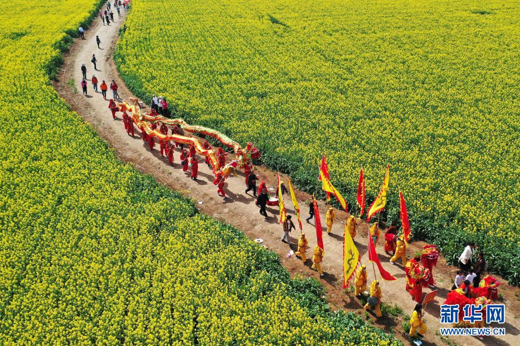 河南寶豐:打造賞花經(jīng)濟(jì) 助力鄉(xiāng)村振興