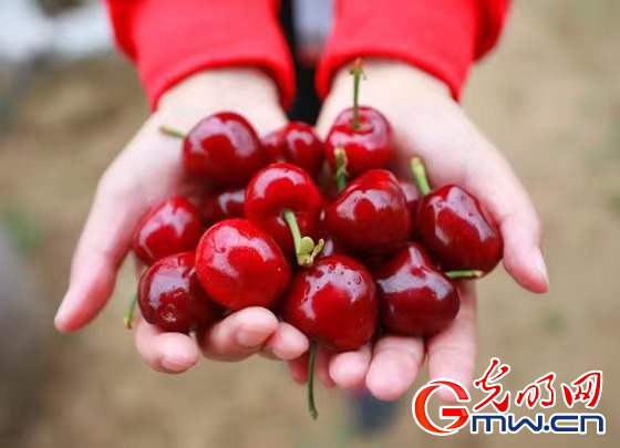 �����@���x������ʹ�������W(w��ng)�j(lu��)ý�w�����υ^(q��)�С��Ӱ����L(zh��ng)��ʢ��F(xi��n)���r(n��ng)�I(y��)ʾ���@����������¸�·