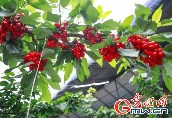 �����@���x������ʹ�������W(w��ng)�j(lu��)ý�w�����υ^(q��)�С��Ӱ����L(zh��ng)��ʢ��F(xi��n)���r(n��ng)�I(y��)ʾ���@����������¸�·