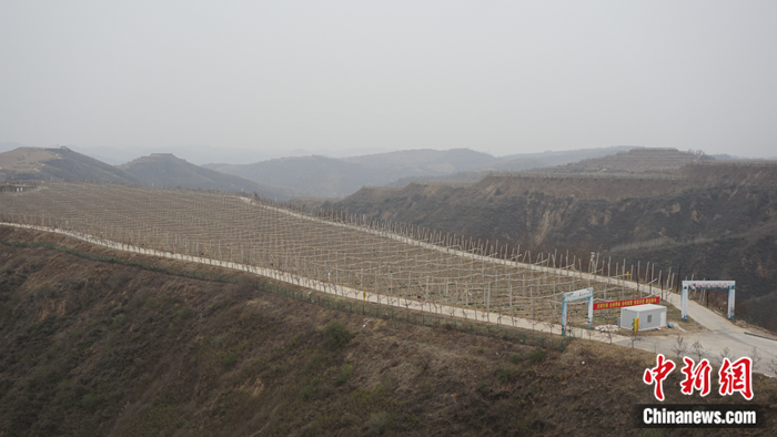 ���ʡ�Ӱ��а����^(q��)�ߘ��(zh��n)�Ϝϴ����B(t��i)ʾ���@�� <a target='_blank'  ><p  align=