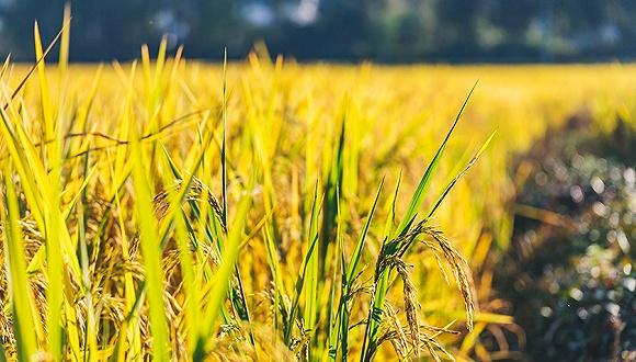 �������ٿ��Ї�حÿһ�������ǽ^������